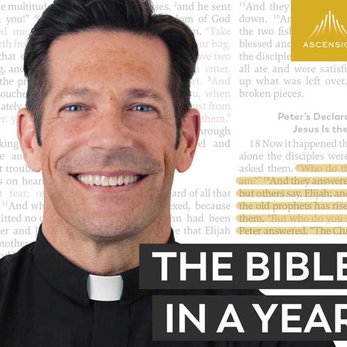 Bible in a year with Fr. Mike Schmitz